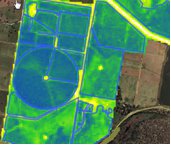 Satellite NDVI imagery
